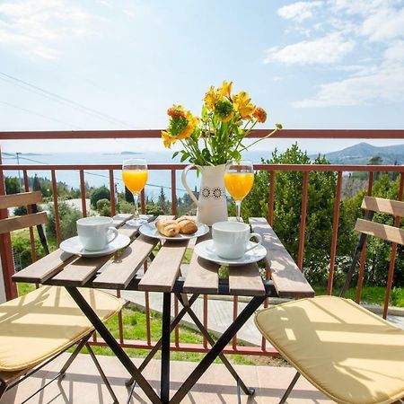 Villa Pergola-Apartment Toni Mlini Luaran gambar